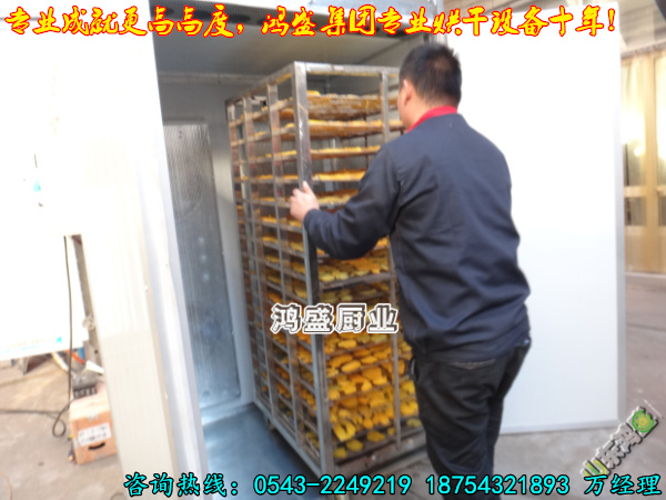 【努力开拓，勇往直前】专业生产制造大型食品烘干房 异形定做地瓜晾干房 红薯电加热节能环保烘干室厂家